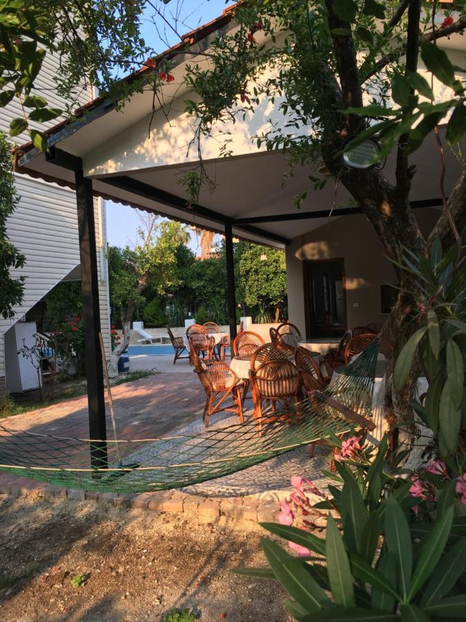 Felicity Hotel & Bungalows ケメル エクステリア 写真