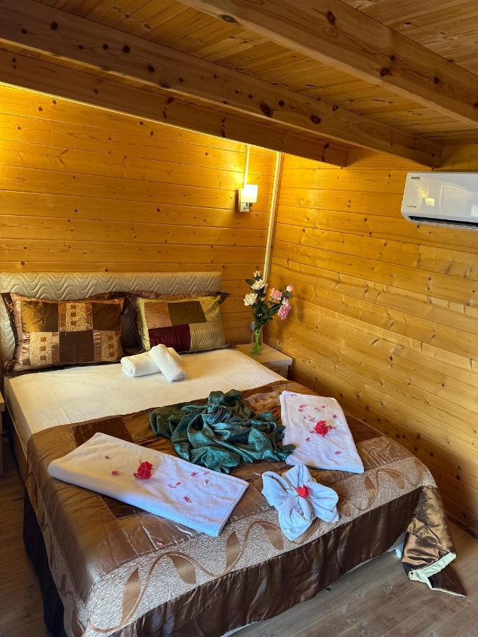 Felicity Hotel & Bungalows ケメル エクステリア 写真