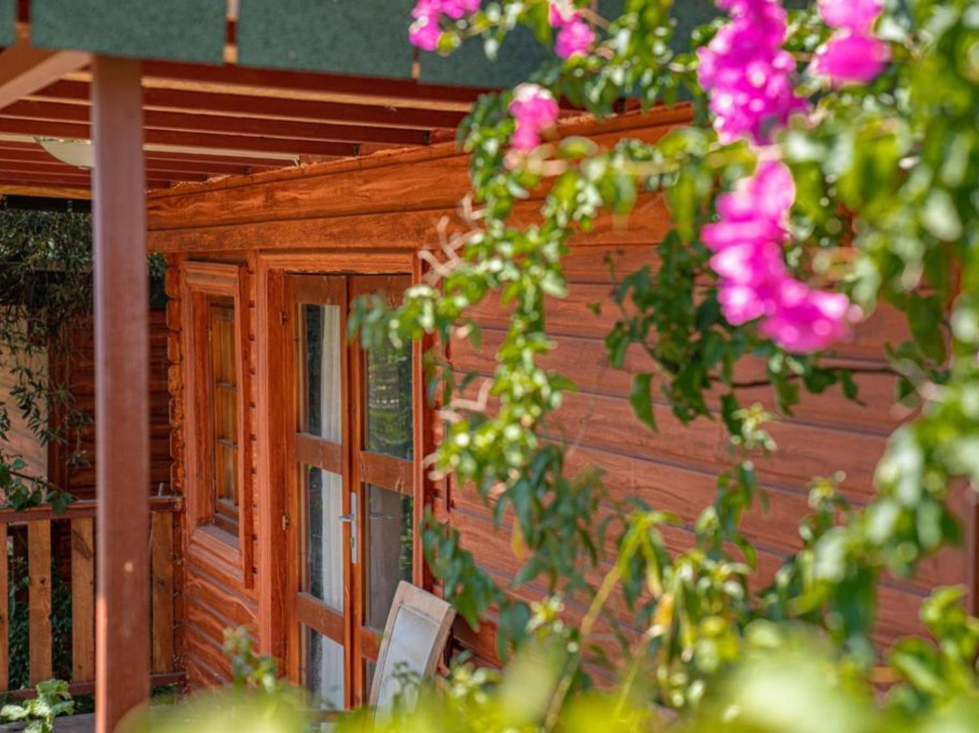 Felicity Hotel & Bungalows ケメル エクステリア 写真